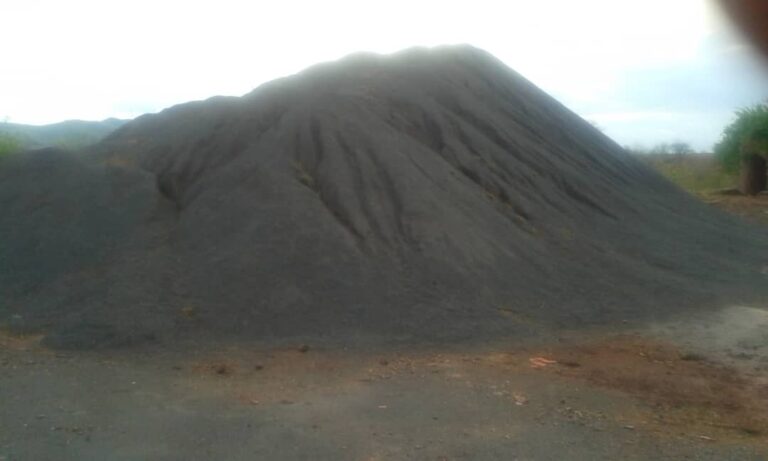 WhatsApp Image 2026-03-15 at 10.25.36 PM (1)